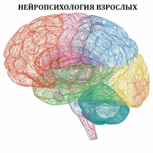 Нейропсихология