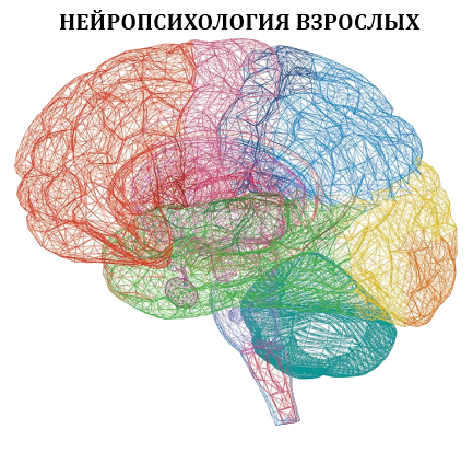 Нейропсихология